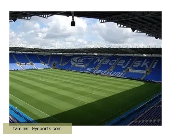 雷丁俱乐部迎来新赛季战略调整与重建计划公布球迷期待未来发展蓝图