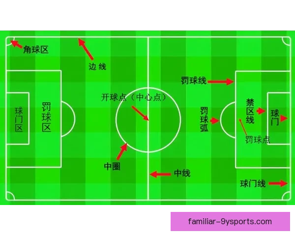 全面解析足球比赛数据的方法与实用技巧指南